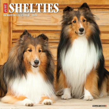 Shelties 2025 Wall [KSIĄŻKA]