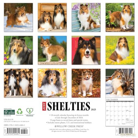 Shelties 2025 Wall [KSIĄŻKA]
