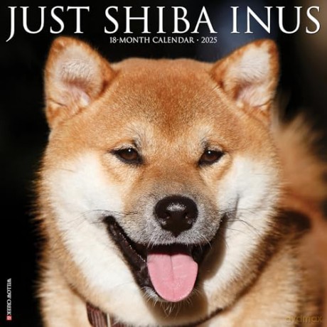 Shiba Inus 2025 Wall [KSIĄŻKA]