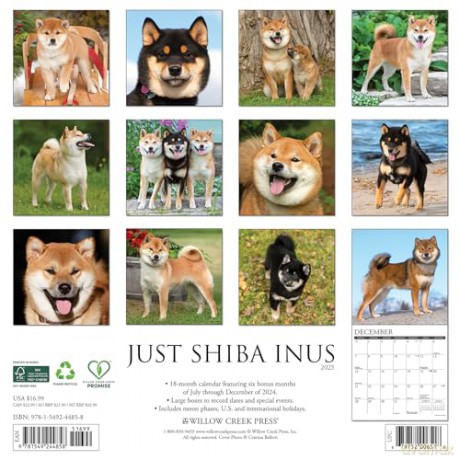 Shiba Inus 2025 Wall [KSIĄŻKA]