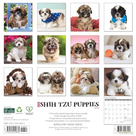 Shih Tzu Puppies 2025 Wall [KSIĄŻKA]