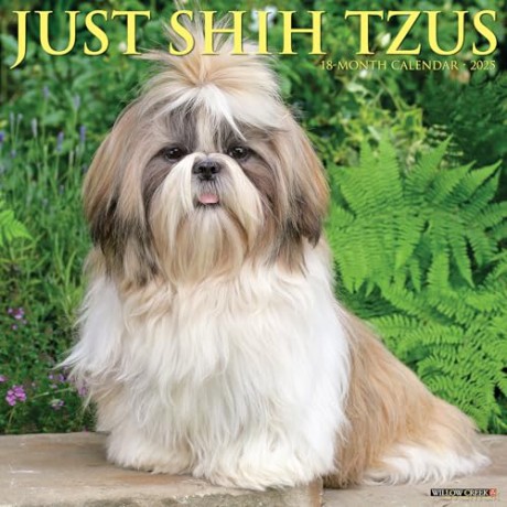 Shih Tzus 2025 Wall [KSIĄŻKA]