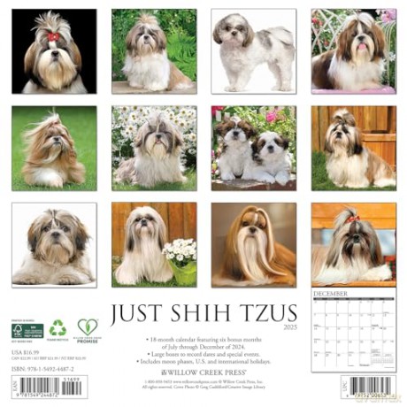 Shih Tzus 2025 Wall [KSIĄŻKA]