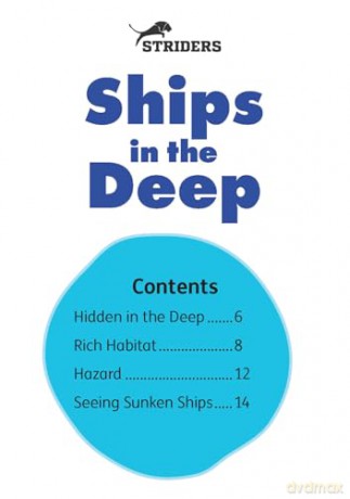 Ships in the Deep - Little Wandle high-low decodable reader for ages 7+ (Striders Phonics Readers) - Rachel Russ [KSIĄŻKA]