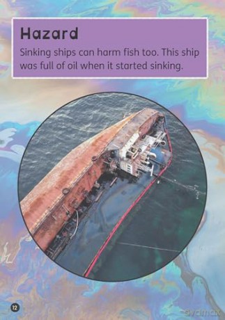 Ships in the Deep - Little Wandle high-low decodable reader for ages 7+ (Striders Phonics Readers) - Rachel Russ [KSIĄŻKA]