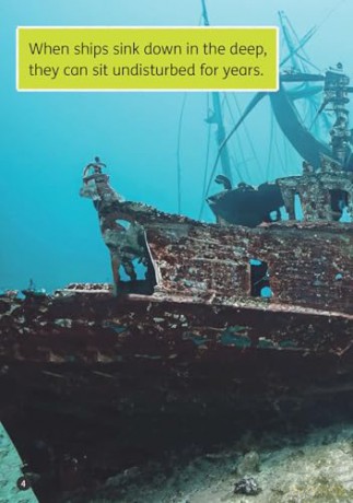 Ships in the Deep - Little Wandle high-low decodable reader for ages 7+ (Striders Phonics Readers) - Rachel Russ [KSIĄŻKA]