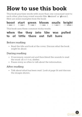 Ships in the Deep - Little Wandle high-low decodable reader for ages 7+ (Striders Phonics Readers) - Rachel Russ [KSIĄŻKA]