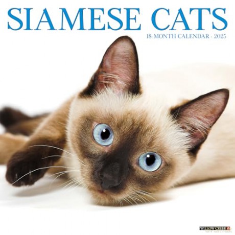 Siamese Cats 2025 Wall [KSIĄŻKA]