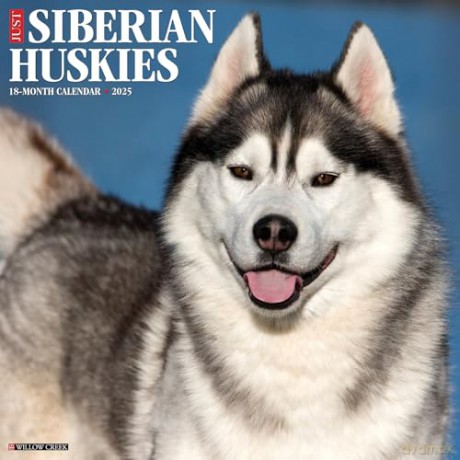 Siberian Huskies 2025 Wall [KSIĄŻKA]