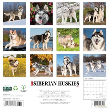 Siberian Huskies 2025 Wall [KSIĄŻKA]