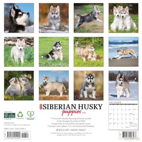 Siberian Husky Puppies 2025 Wall [KSIĄŻKA]