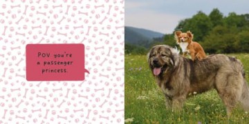 Silly Dogs: A Ridiculous Collection of the World's Goofiest Dogs and Most Relatable Memes [KSIĄŻKA]
