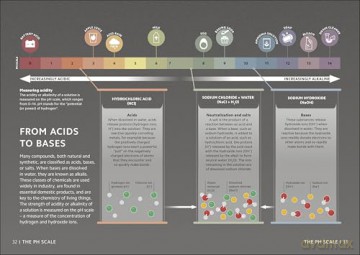 Simply Science: Facts Made Fast (DK Simply) [KSIĄŻKA]