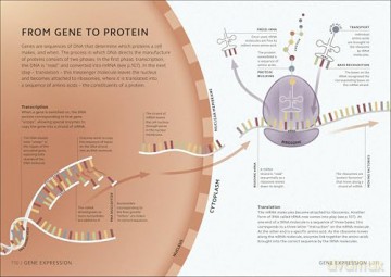 Simply Science: Facts Made Fast (DK Simply) [KSIĄŻKA]