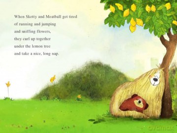 Sketty and Meatball (I Can Read Level 1) - Sarah Weeks [KSIĄŻKA]