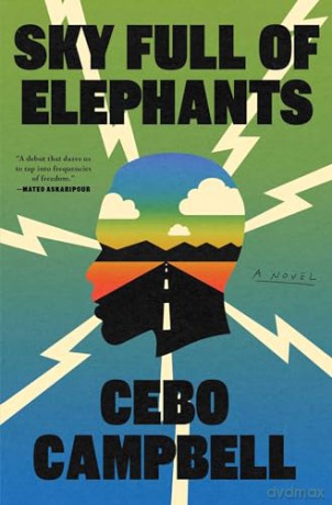 Sky Full of Elephants - Cebo Campbell [KSIĄŻKA]