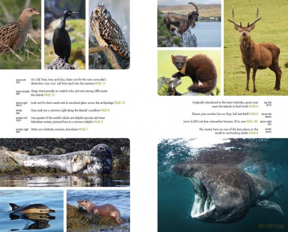 Skye and the Inner Hebrides including Mull, Islay, Iona and more (Bradt Travel Guides) - Katie Featherstone [KSIĄŻKA]