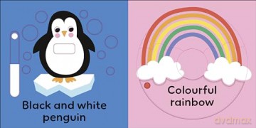 Slide and Seek Colours [KSIĄŻKA]