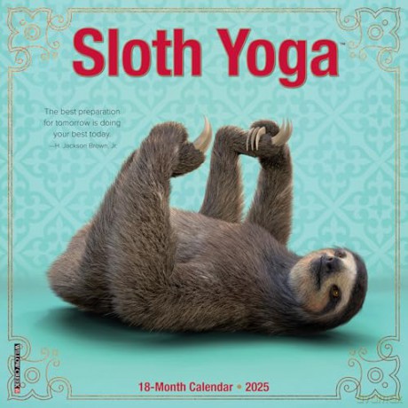 Sloth Yoga 2025 Mini [KSIĄŻKA]