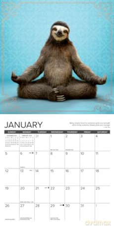 Sloth Yoga 2025 Mini [KSIĄŻKA]