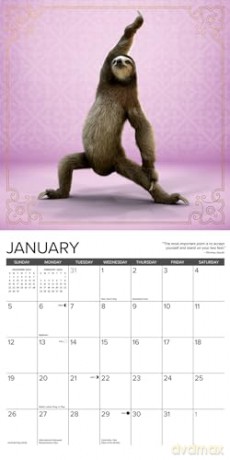 Sloth Yoga 2025 Wall [KSIĄŻKA]