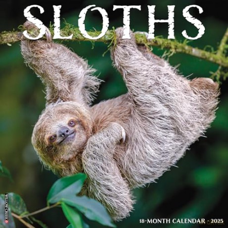 Sloths 2025 Wall [KSIĄŻKA]