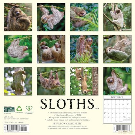 Sloths 2025 Wall [KSIĄŻKA]