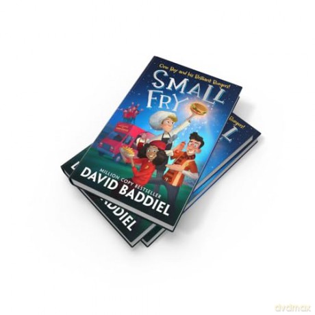 Small Fry: The hilarious and heart-warming new illustrated novel from million-copy bestselling author David Baddiel. Perfect for kids aged 8 plus - David Baddiel [KSIĄŻKA]
