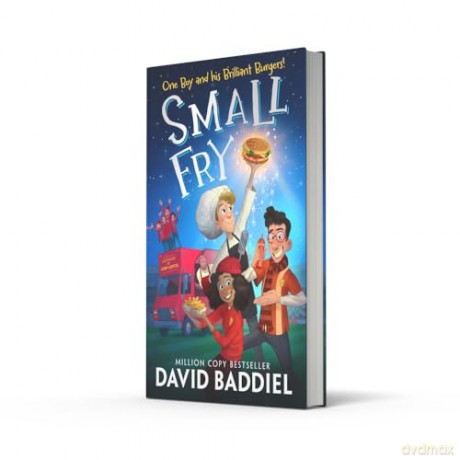 Small Fry: The hilarious and heart-warming new illustrated novel from million-copy bestselling author David Baddiel. Perfect for kids aged 8 plus - David Baddiel [KSIĄŻKA]