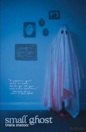 Small Ghost - Trista Mateer [KSIĄŻKA]
