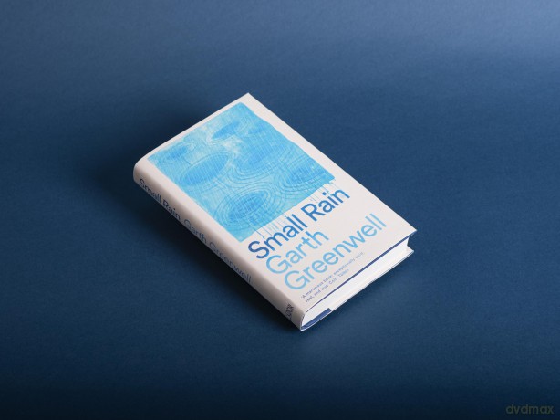 Small Rain - Garth Greenwell [KSIĄŻKA]
