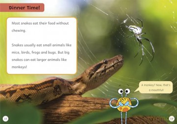 Snake Stuff!: (Orange Band) (Maverick Non-Fiction) [KSIĄŻKA]