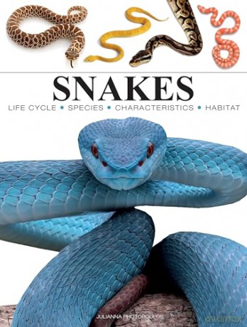Snakes (Mini Animals) (Mini Encyclopedias) - Julianna Photopoulos [KSIĄŻKA]