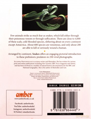 Snakes (Mini Animals) (Mini Encyclopedias) - Julianna Photopoulos [KSIĄŻKA]