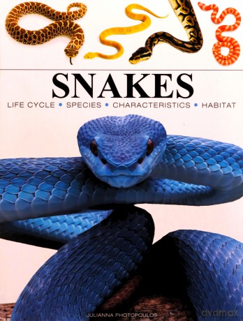 Snakes (Mini Animals) (Mini Encyclopedias) - Julianna Photopoulos [KSIĄŻKA]