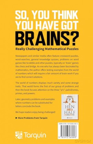 So You Think You Have Brains - Danny Roth (author) [KSIĄŻKA]