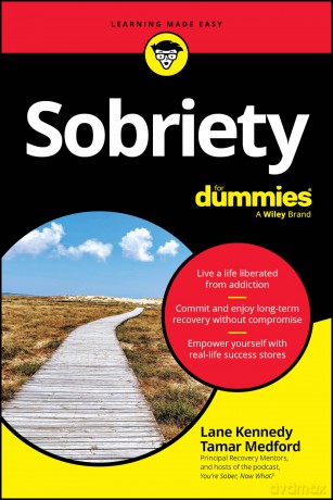 Sobriety For Dummies - Lane Kennedy [KSIĄŻKA]