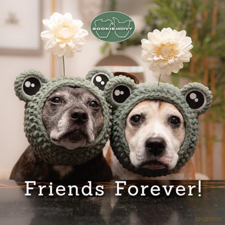 Sookie and Ivy Friends Forever! - Jani Oja [KSIĄŻKA]