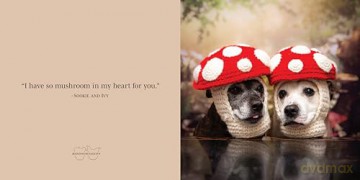 Sookie and Ivy Friends Forever! - Jani Oja [KSIĄŻKA]
