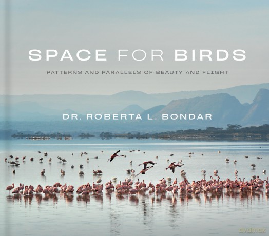 Space for Birds: Patterns and Parallels of Beauty and Flight - Dr. Roberta L. Bondar [KSIĄŻKA]