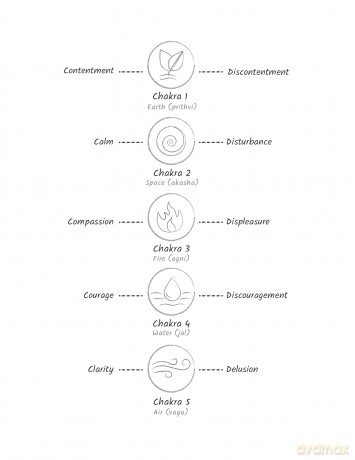 Spiritual Anatomy: Meditation, Chakras, and the Journey to the Center - Daaji Kamlesh D. Patel [KSIĄŻKA]
