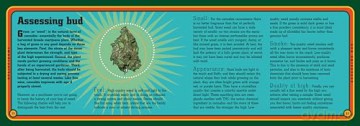 Spliffigami: Roll the 35 Greatest Joints of All Times - Chris Stone [KSIĄŻKA]