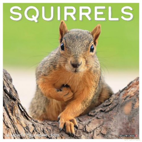 Squirrels 2025 Wall [KSIĄŻKA]