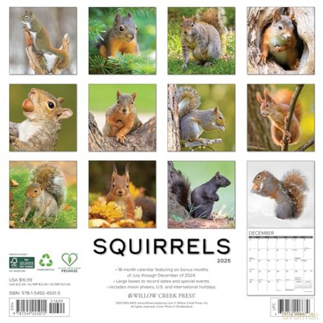 Squirrels 2025 Wall [KSIĄŻKA]