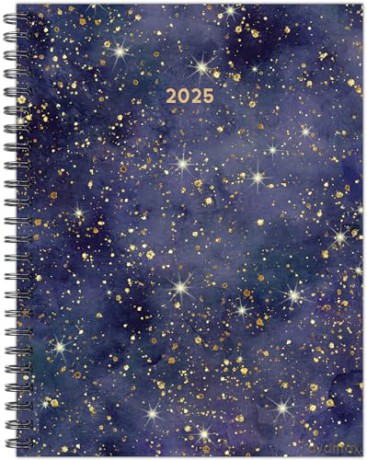 Starry Night 2025 Spiral Weekly Planner [KSIĄŻKA]