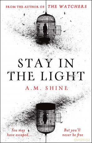 Stay in the Light: the chilling sequel to THE WATCHERS, now adapted into a major motion picture - A.M. Shine [KSIĄŻKA]