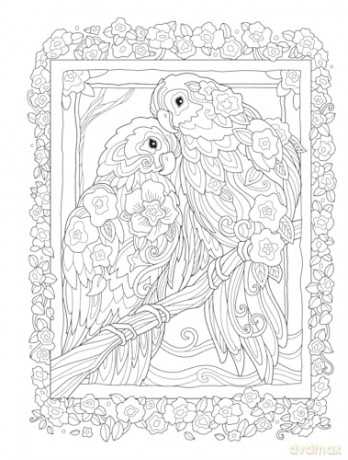 Stay Wild: A Coloring Book Menagerie by Marjorie Sarnat (Dover Adult Coloring Books) - Marjorie Sarnat [KSIĄŻKA]