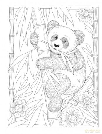 Stay Wild: A Coloring Book Menagerie by Marjorie Sarnat (Dover Adult Coloring Books) - Marjorie Sarnat [KSIĄŻKA]