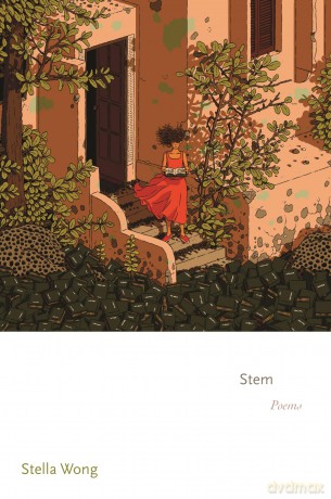 Stem: Poems: 180 (Princeton Series of Contemporary Poets) - Stella Wong [KSIĄŻKA]