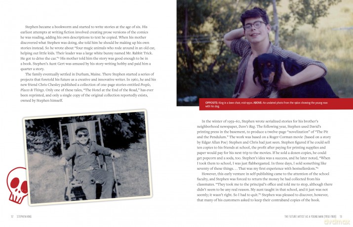 Stephen King: His Life, Work, and Influences (Young Readers' Edition) - Bev Vincent [KSIĄŻKA]